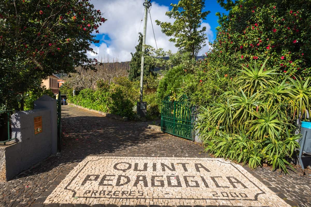 Guided tours of Madeira - Ponta do Prago and the west