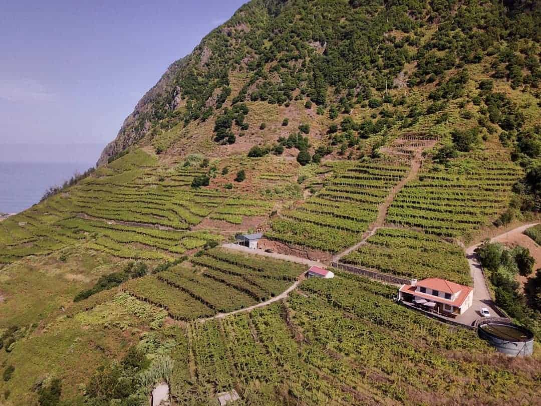 Where to eat on Madeira